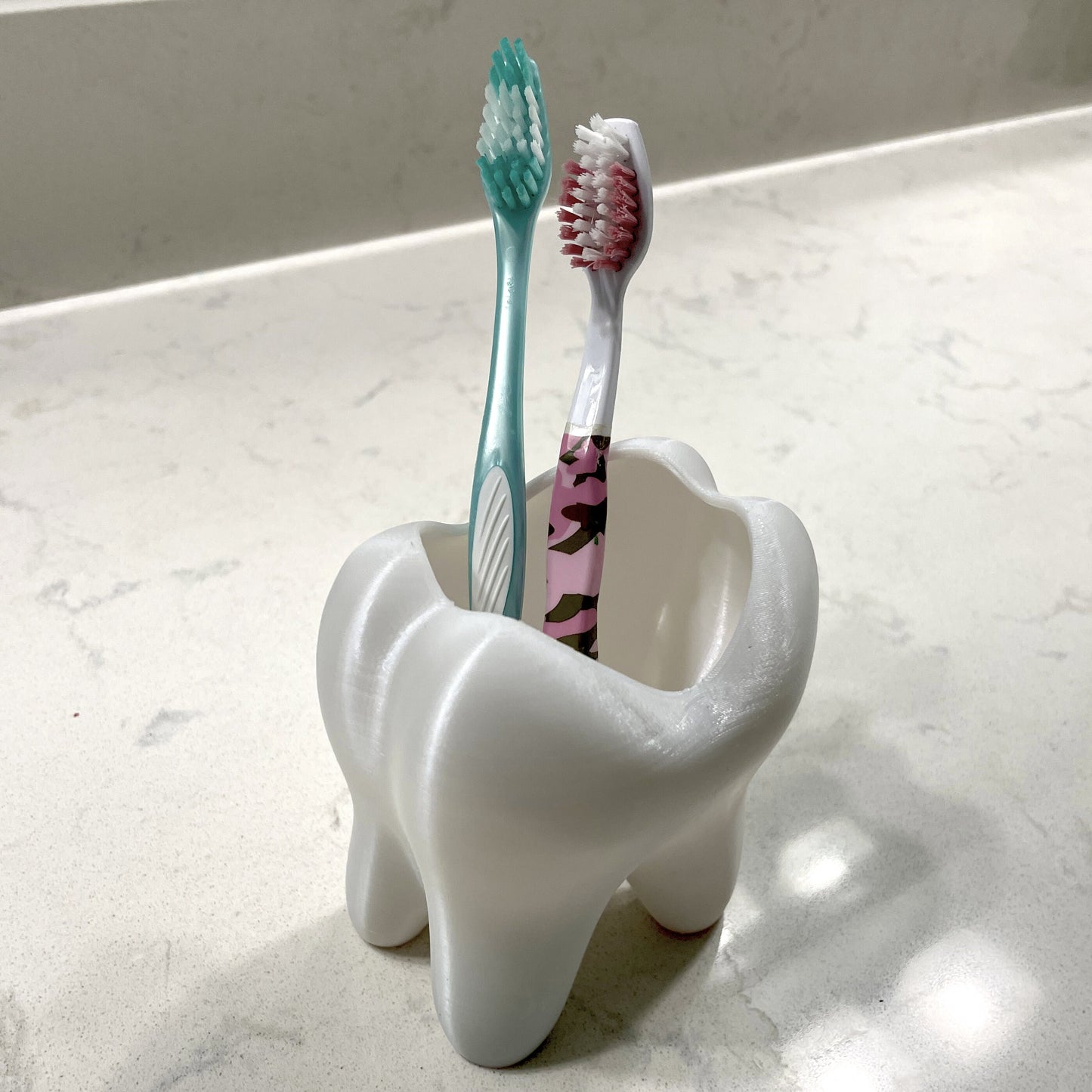 Tooth Toothbrush Holder