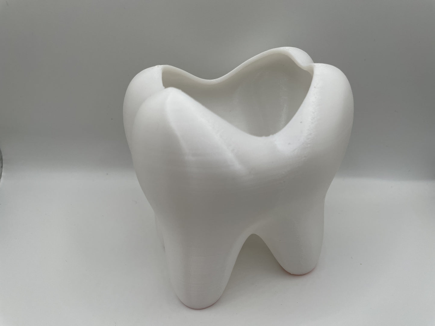 Tooth Toothbrush Holder