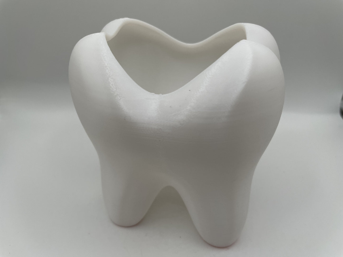 Tooth Toothbrush Holder