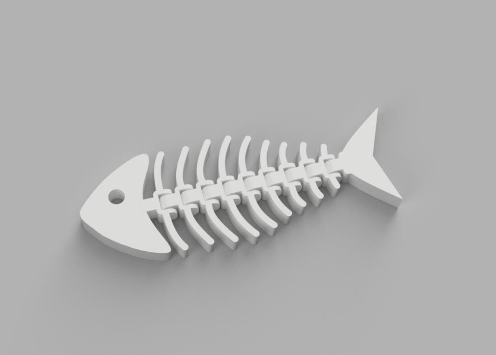 Articulated Fish with no Mouth, Flexible Fish Toy, Fish Sensory Toy, Fish Fidget Toy,  Fish Skeleton